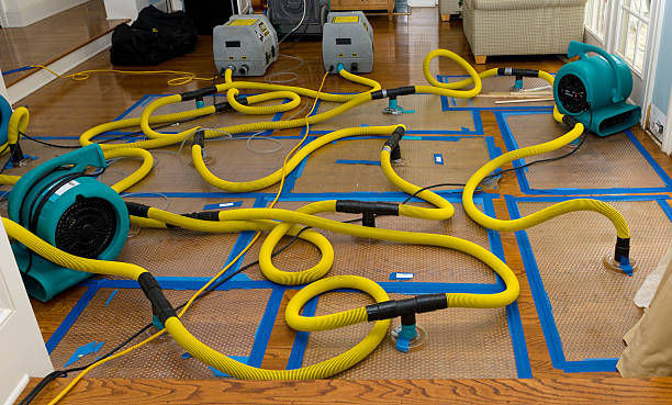 Professional Water Damage Repair technician working in East Taunton, MA